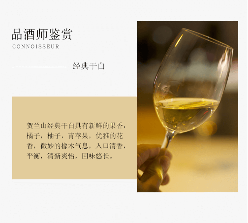 干白葡萄酒产品信息